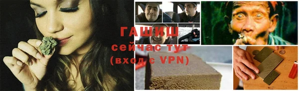 ПСИЛОЦИБИНОВЫЕ ГРИБЫ Вязники