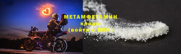 ПСИЛОЦИБИНОВЫЕ ГРИБЫ Вязники