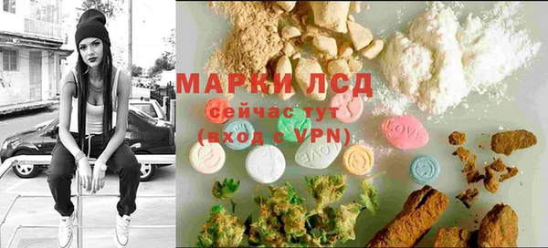 PSILOCYBIN Верея