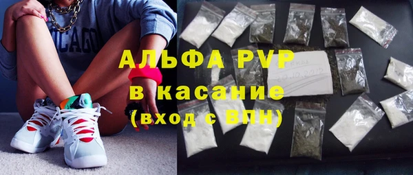PSILOCYBIN Верея